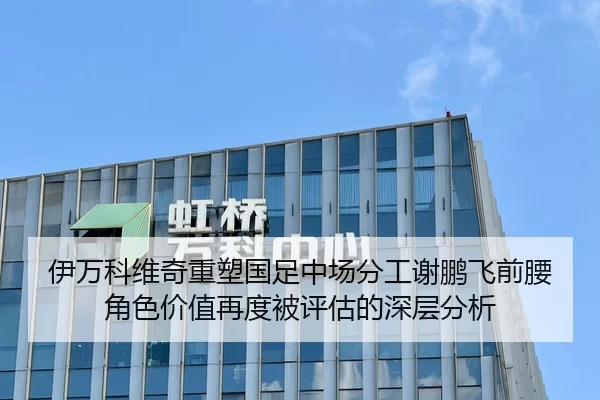 伊万科维奇重塑国足中场分工谢鹏飞前腰角色价值再度被评估的深层分析